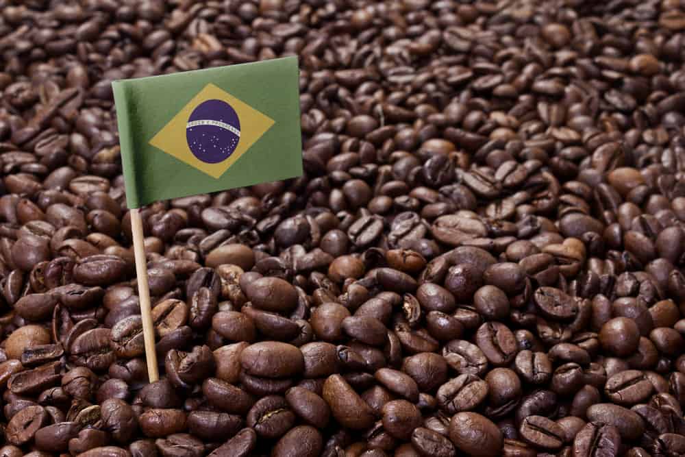 Brasiliansk flag i kaffebønner